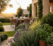 Plantas antimosquitos en una terraza exterior con citronela, lavanda y romero
